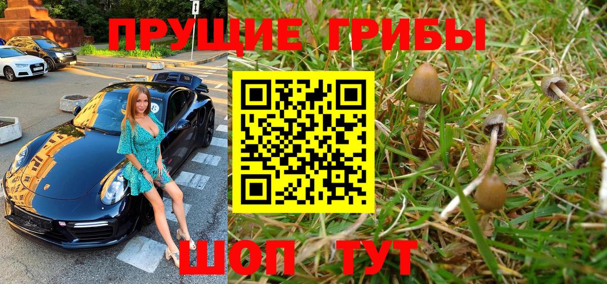 Псилоцибиновые грибы Magic Shrooms Гурьевск