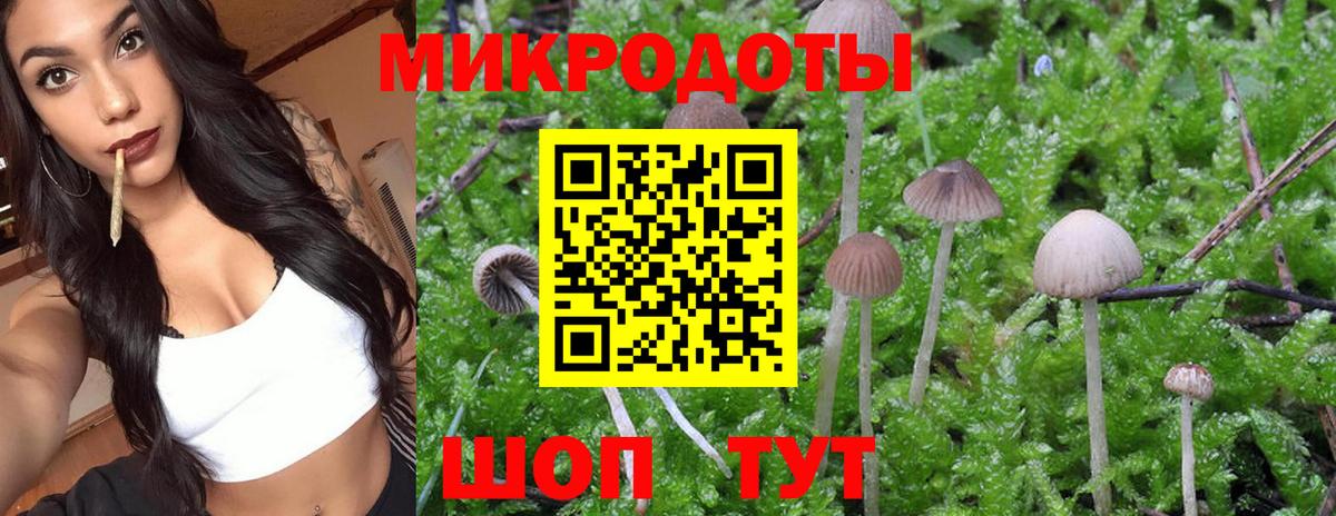 Гурьевск  Галлюциногенные грибы MAGIC MUSHROOMS  цена   Вход с VPN 